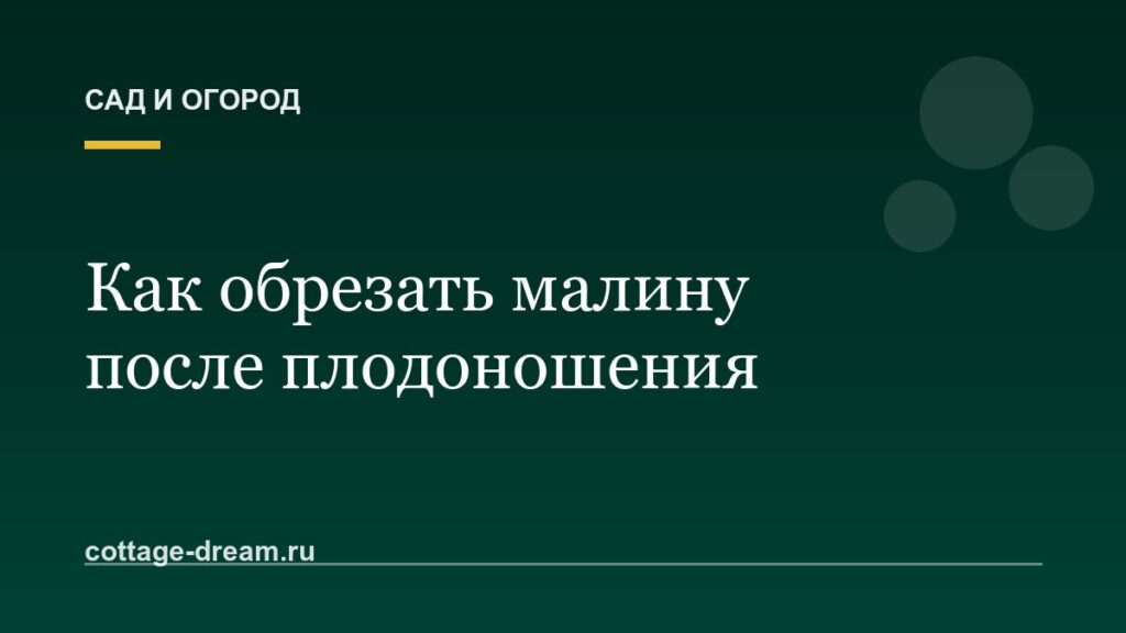 Как обрезать малину после плодоношения