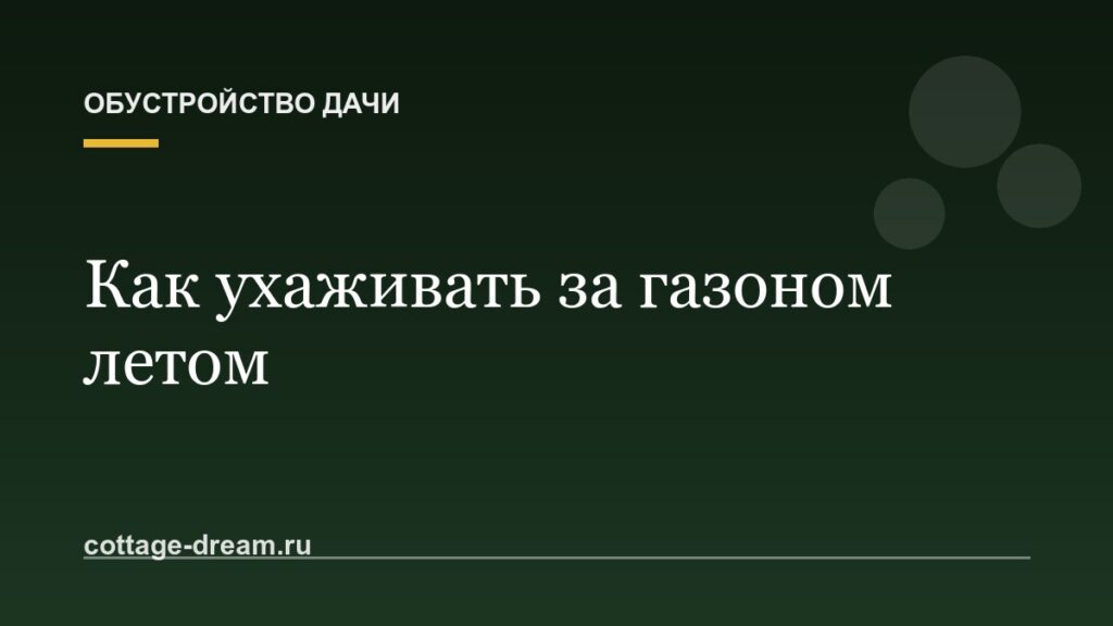 Как ухаживать за газоном летом: полив и стрижка