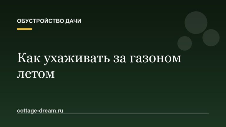 Как ухаживать за газоном летом: полив и стрижка