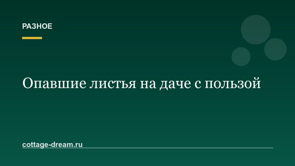 Что делать с опавшими листьями на даче: 5 способов с пользой