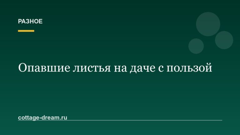 Что делать с опавшими листьями на даче: 5 способов с пользой