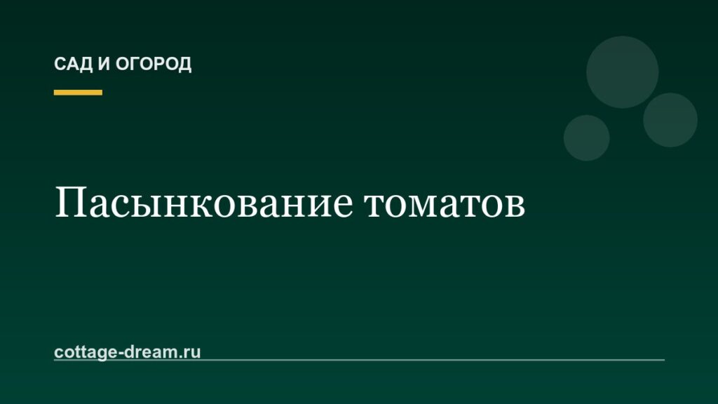 Пасынкование томатов: зачем нужно и как делать правильно