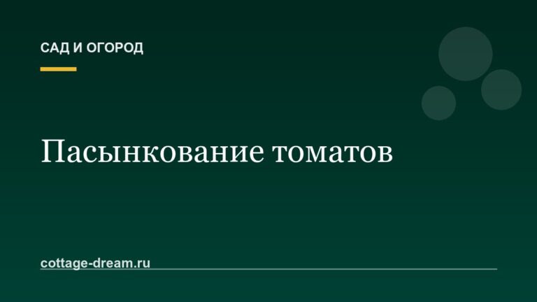 Пасынкование томатов: зачем нужно и как делать правильно