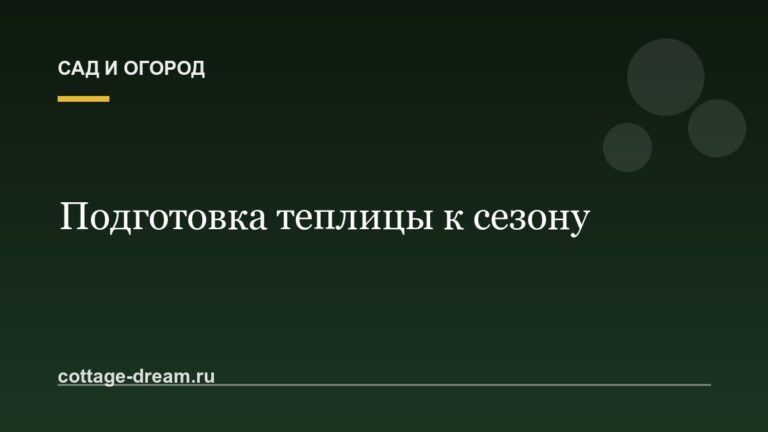 Как подготовить теплицу к новому сезону: обеззараживание и ремонт
