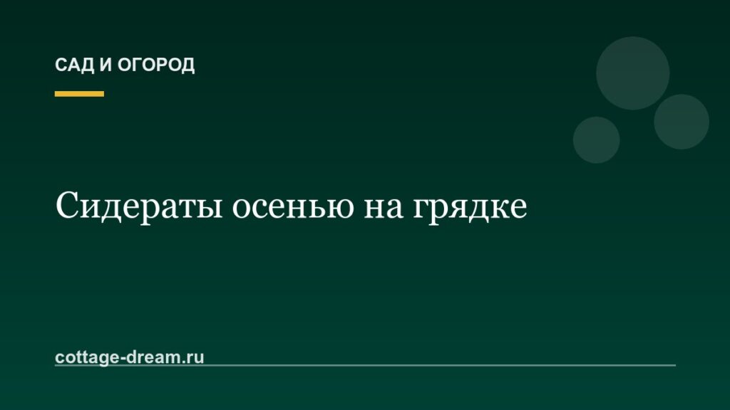 Сидераты осенью: какие сеять после уборки урожая и зачем