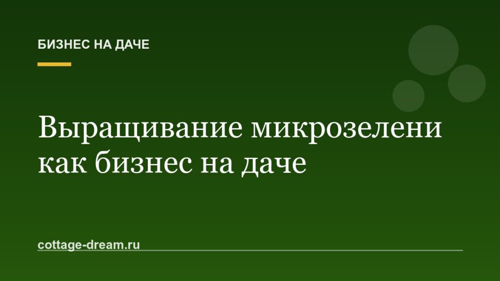 Выращивание микрозелени как бизнес на даче: расчёты, сорта и сбыт
