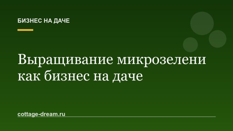 Выращивание микрозелени как бизнес на даче: расчёты, сорта и сбыт