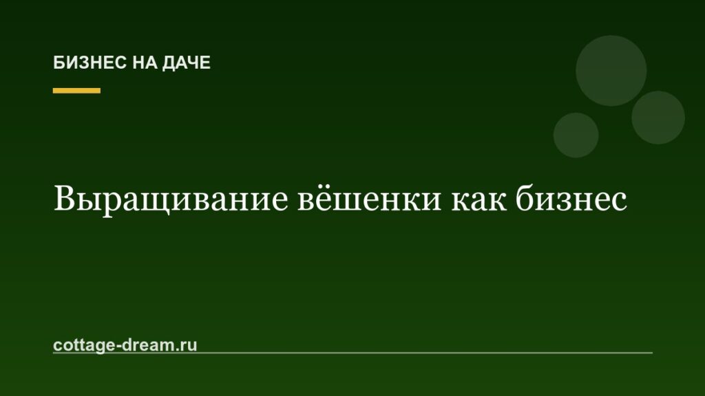 Выращивание вёшенки как бизнес: с чего начать и сколько можно заработать