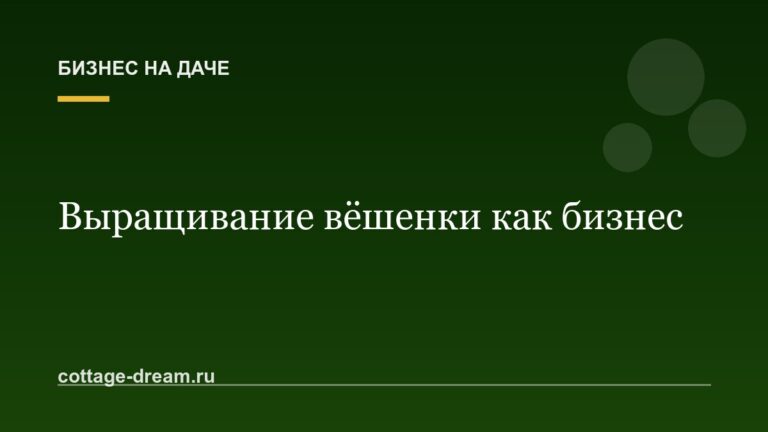 Выращивание вёшенки как бизнес: с чего начать и сколько можно заработать