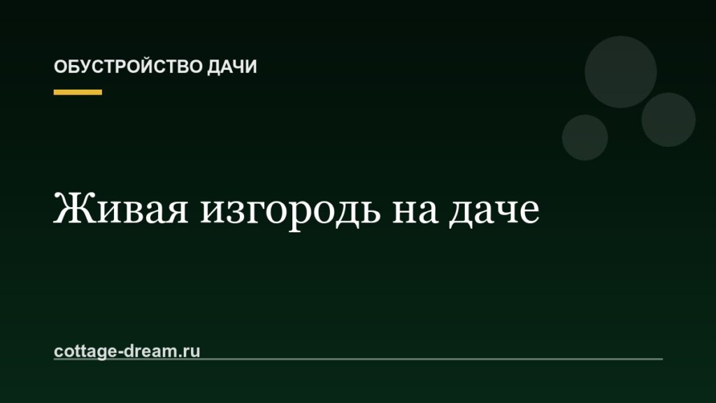 Живая изгородь на даче: какие растения выбрать