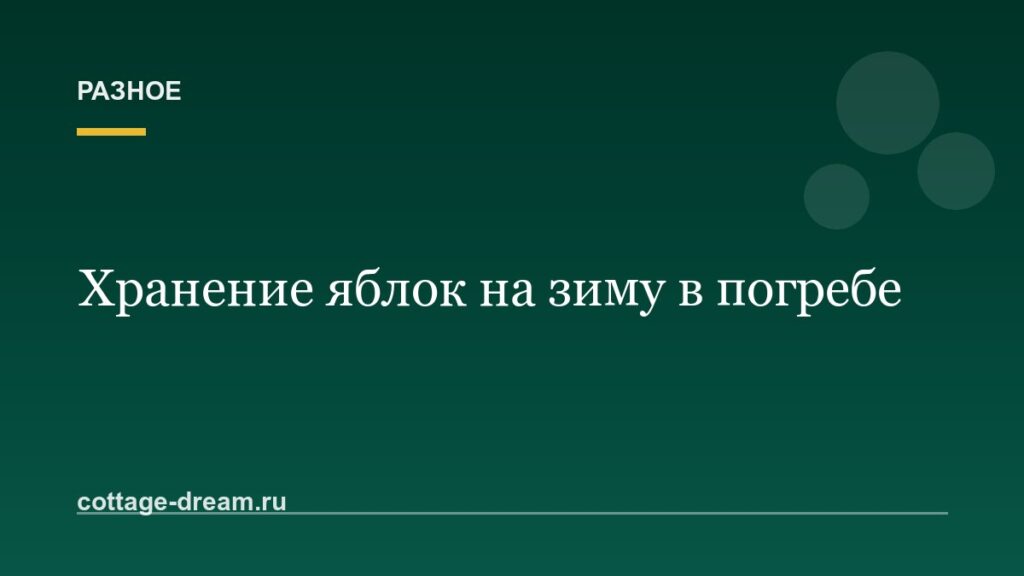 Хранение яблок на зиму: способы, сорта и условия