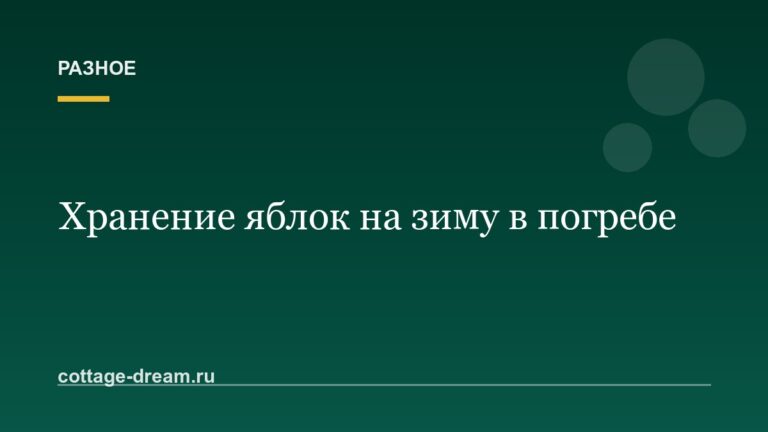 Хранение яблок на зиму: способы, сорта и условия