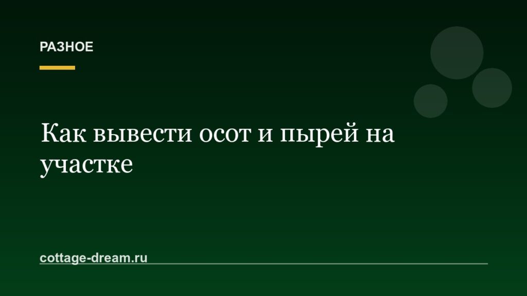 Как избавиться от осота и пырея на участке