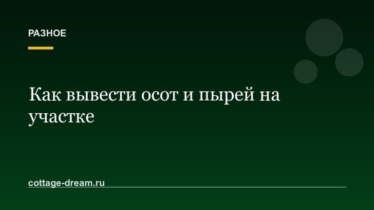Как избавиться от осота и пырея на участке