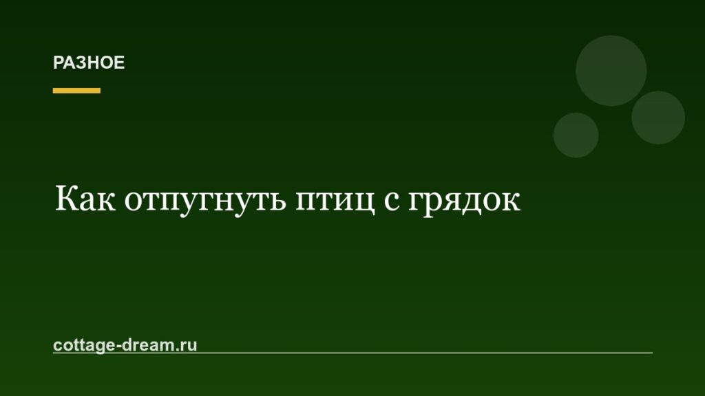 Как отпугнуть птиц с грядок и ягодников