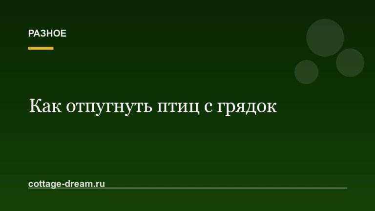Как отпугнуть птиц с грядок и ягодников