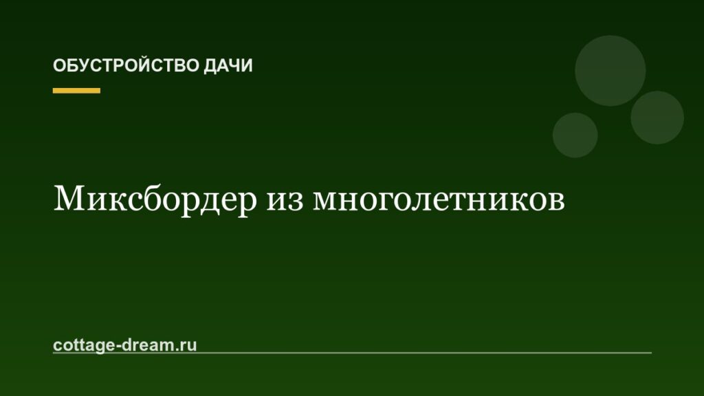 Миксбордер из многолетников: схема посадки для начинающих