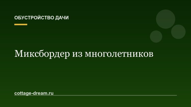 Миксбордер из многолетников: схема посадки для начинающих