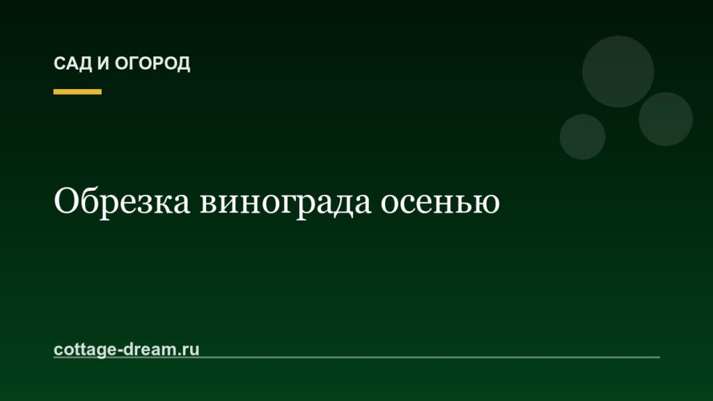 Обрезка винограда осенью для начинающих: схема