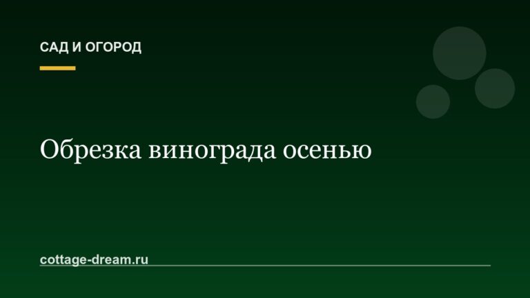 Обрезка винограда осенью для начинающих: схема