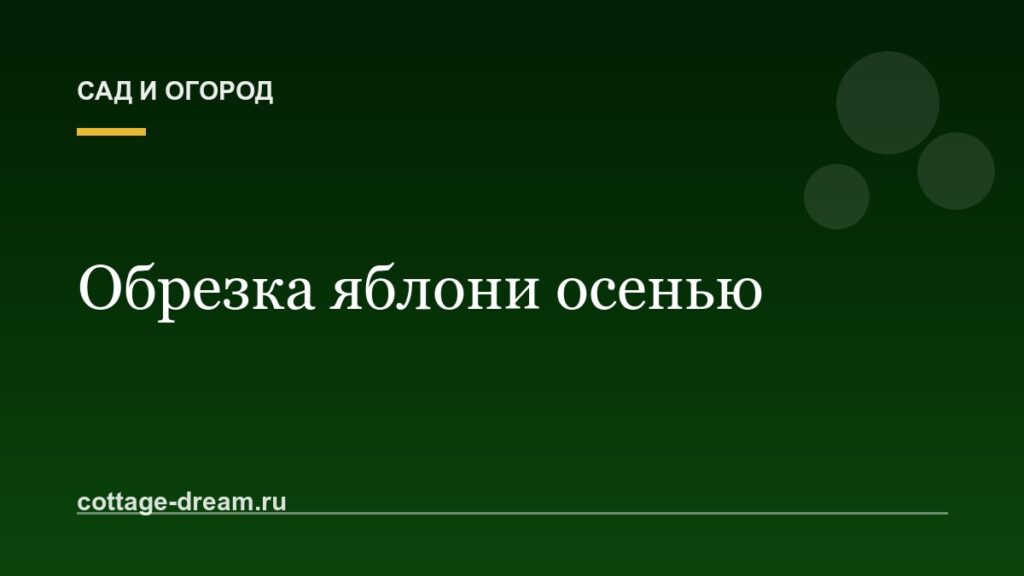 Обрезка яблони осенью: схема для начинающих