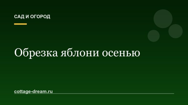 Обрезка яблони осенью: схема для начинающих