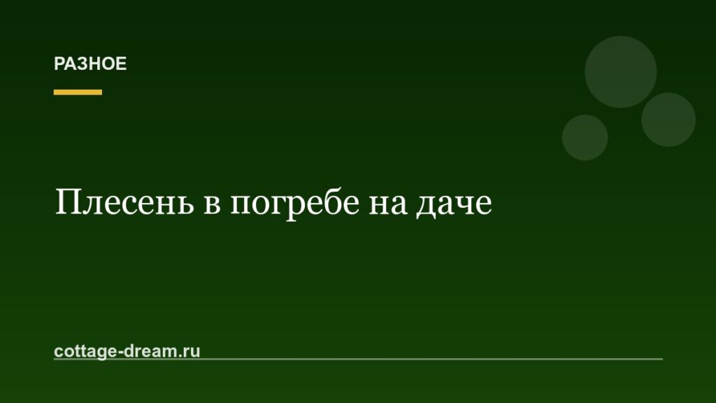 Как избавиться от плесени в погребе на даче