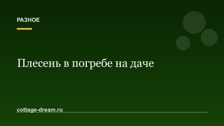 Как избавиться от плесени в погребе на даче
