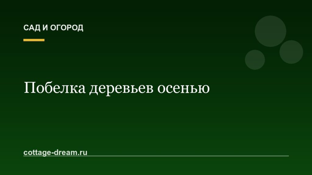 Побелка деревьев осенью: зачем, чем и когда белить