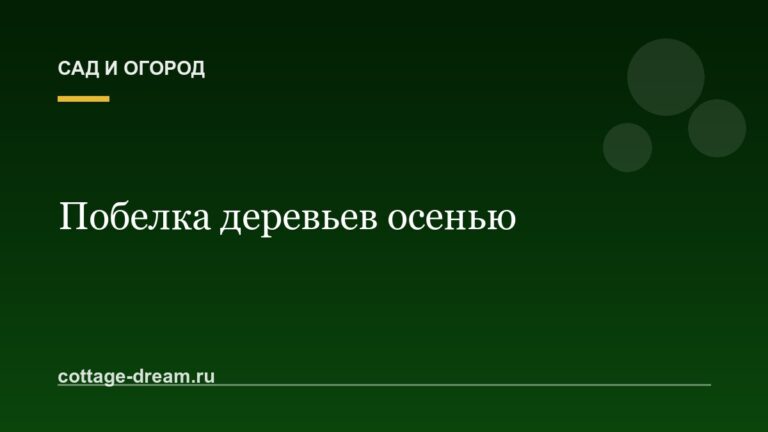 Побелка деревьев осенью: зачем, чем и когда белить