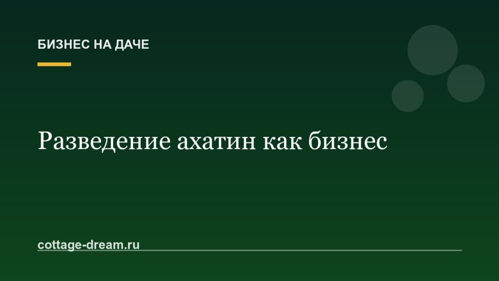 Разведение улиток ахатин как бизнес: с чего начать