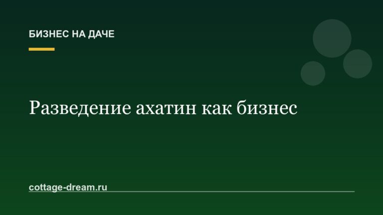 Разведение улиток ахатин как бизнес: с чего начать