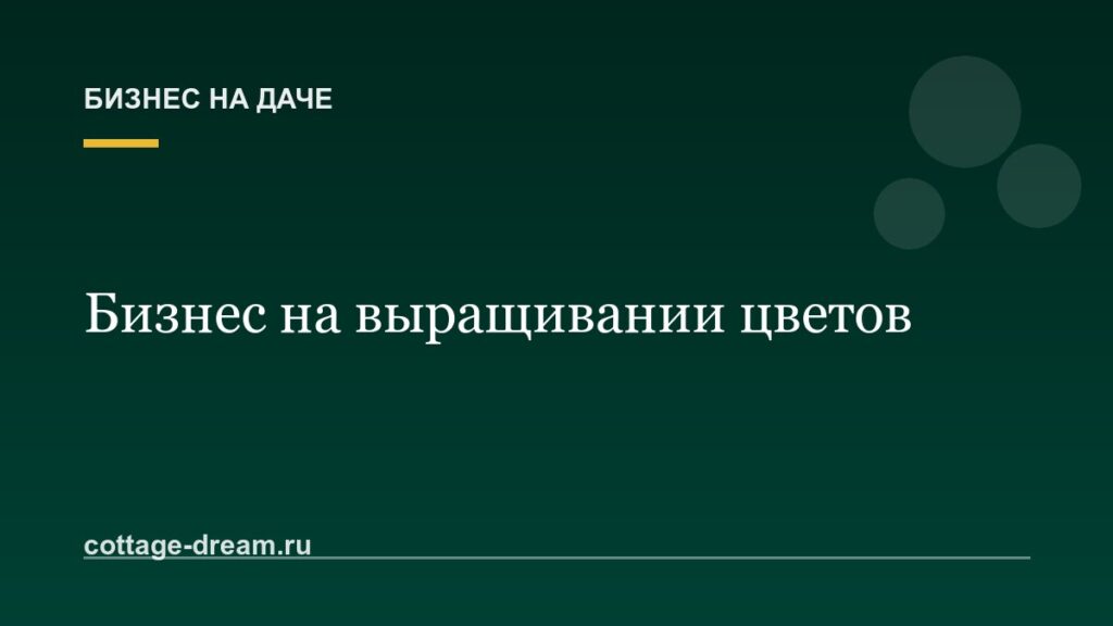 Выращивание цветов на продажу: с чего начать бизнес