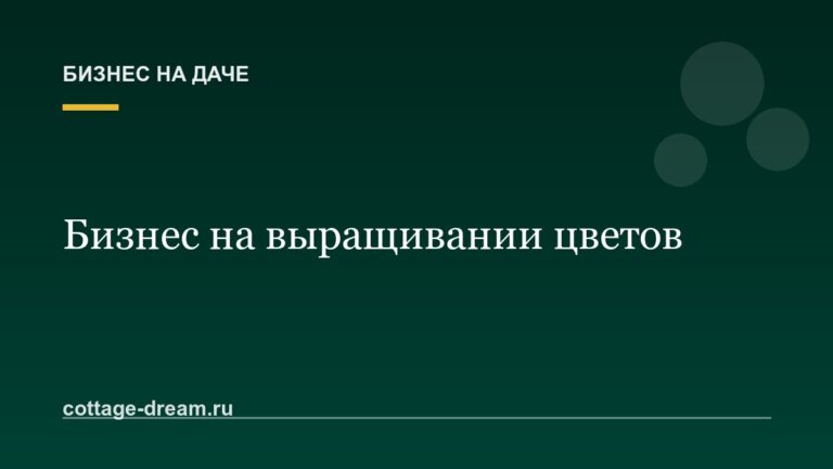 Выращивание цветов на продажу: с чего начать бизнес
