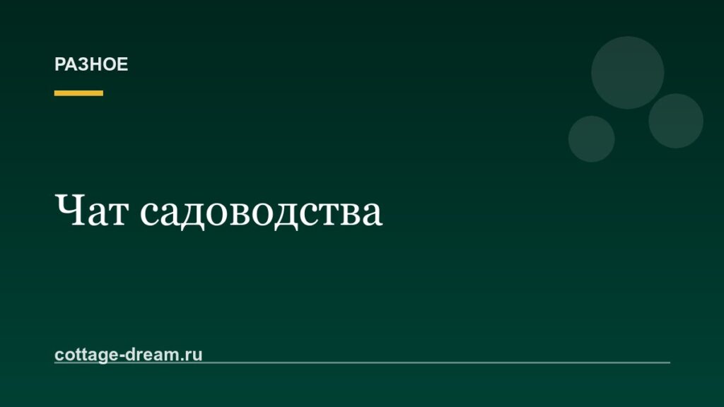 Чат садоводства: как навести порядок, чтобы важное не тонуло в спаме