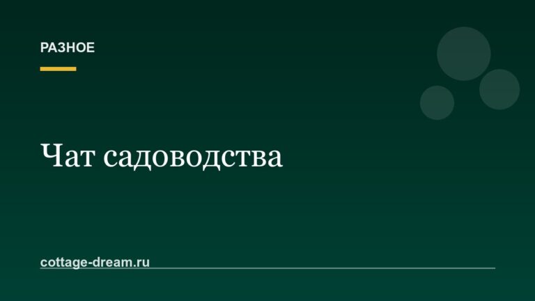 Чат садоводства: как навести порядок, чтобы важное не тонуло в спаме