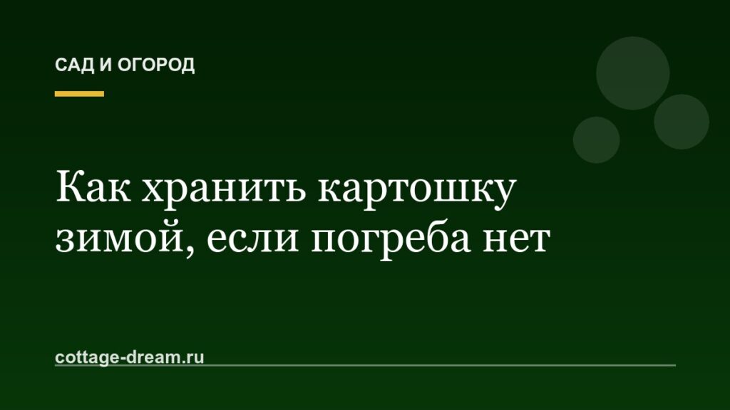 Как хранить картошку зимой, если погреба нет
