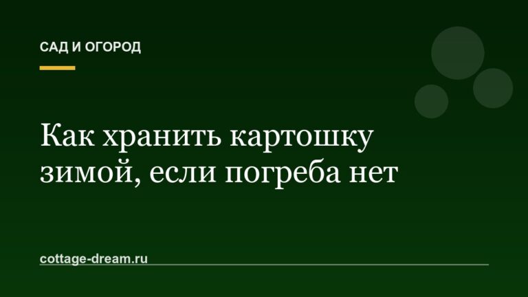Как хранить картошку зимой, если погреба нет