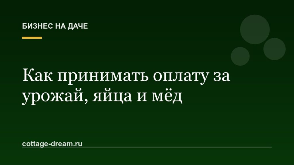 Как принимать оплату за урожай, яйца и мёд: наличные, перевод, QR-код, самозанятость