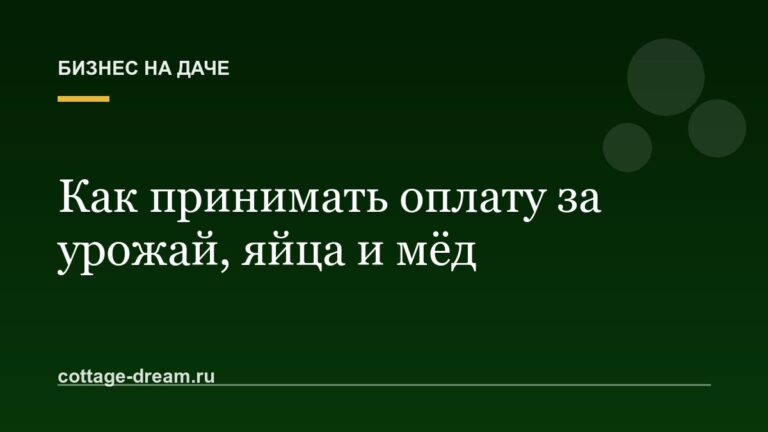 Как принимать оплату за урожай, яйца и мёд: наличные, перевод, QR-код, самозанятость