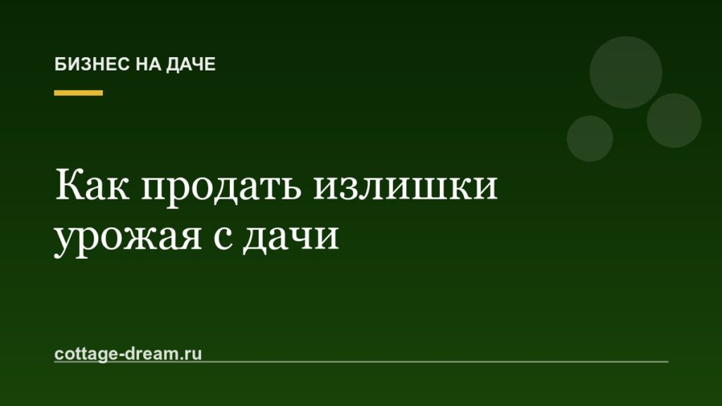 Как продать излишки урожая с дачи: Авито, ярмарка или столик у дороги