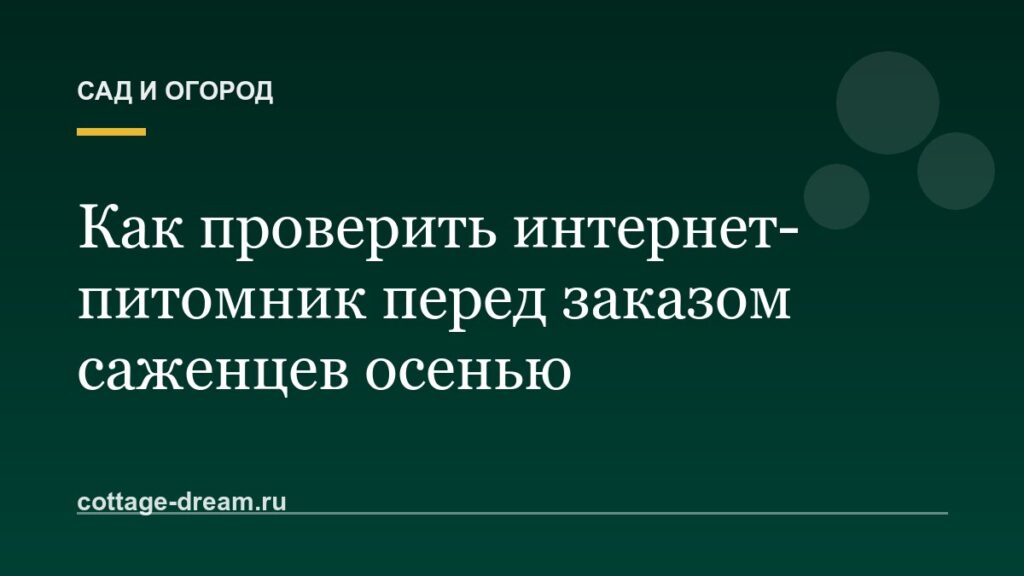 Как проверить интернет-питомник перед заказом саженцев осенью