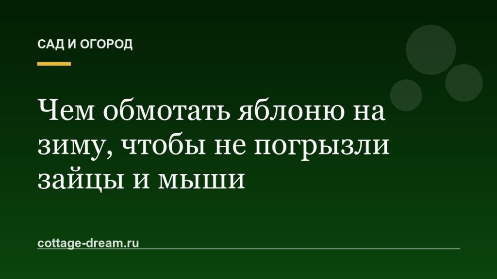 Чем обмотать яблоню на зиму, чтобы не погрызли зайцы и мыши