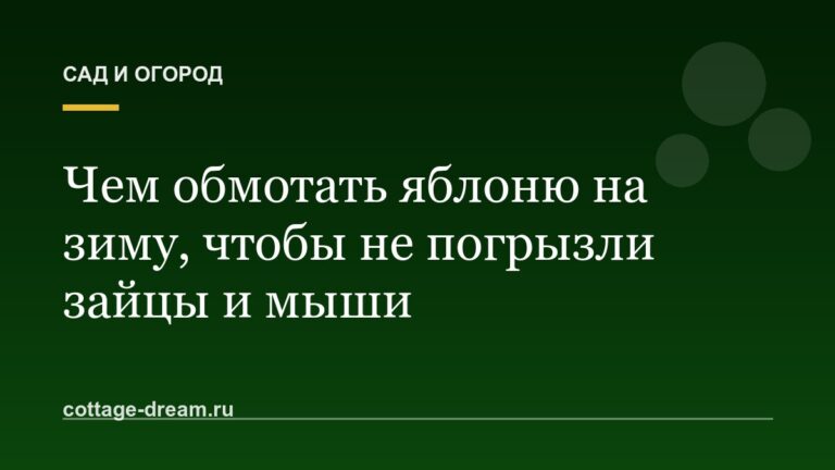 Чем обмотать яблоню на зиму, чтобы не погрызли зайцы и мыши
