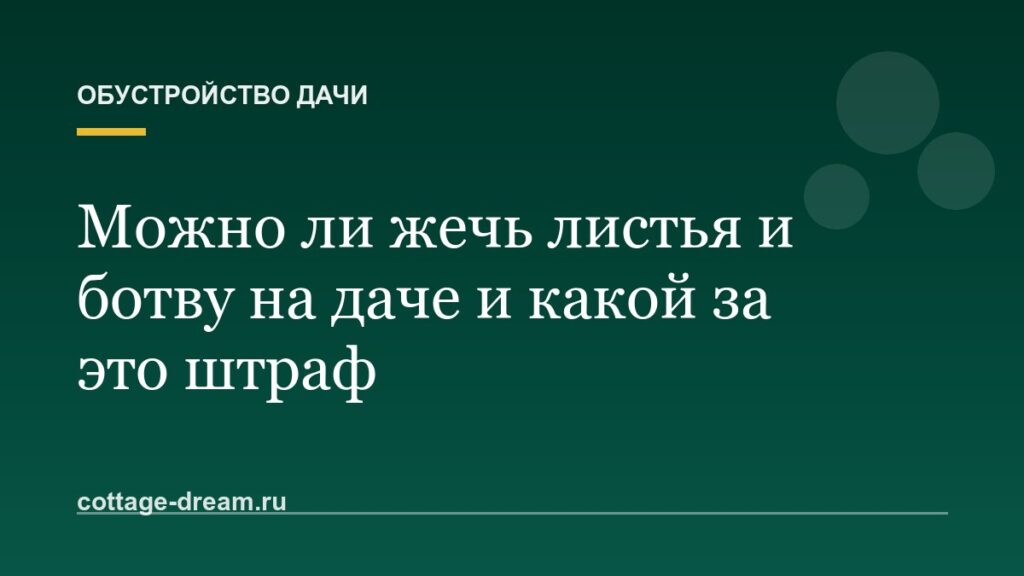 Можно ли жечь листья и ботву на даче и какой за это штраф