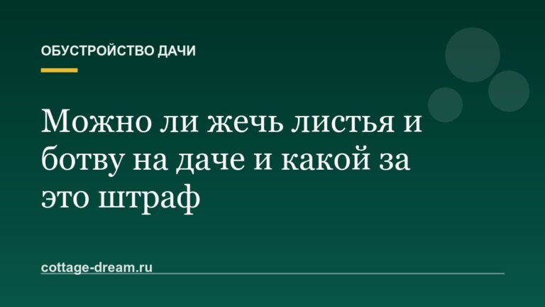 Можно ли жечь листья и ботву на даче и какой за это штраф