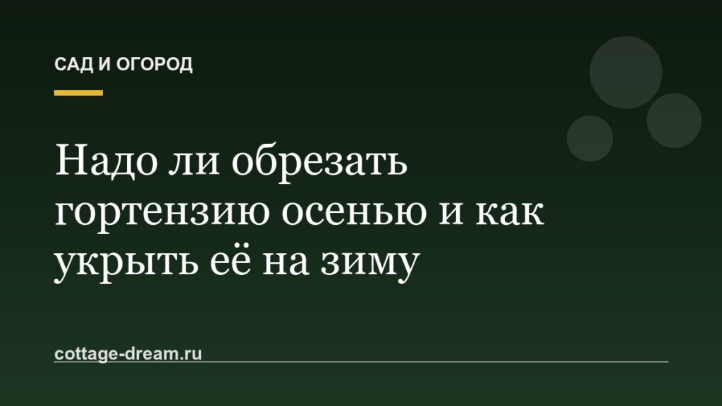 Надо ли обрезать гортензию осенью и как укрыть её на зиму