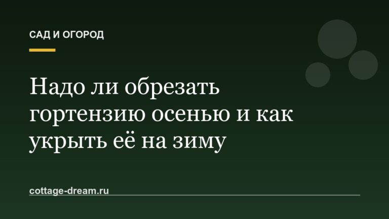 Надо ли обрезать гортензию осенью и как укрыть её на зиму