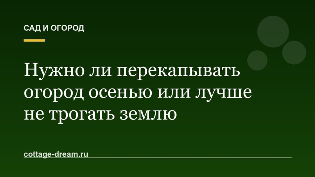 Нужно ли перекапывать огород осенью или лучше не трогать землю