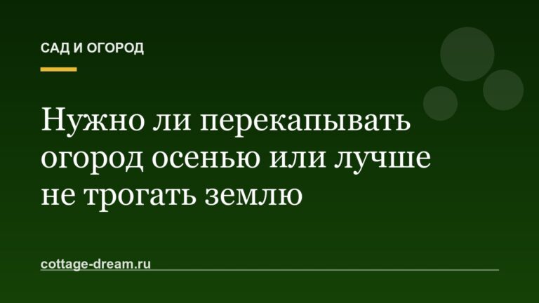 Нужно ли перекапывать огород осенью или лучше не трогать землю